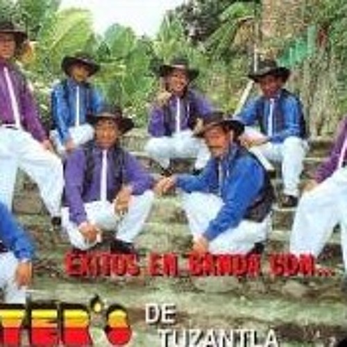 "Serias mi amor" - Los màs Perrones de Tierra Caliente Player's.