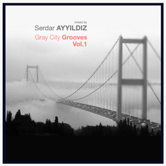 Serdar Ayyildiz - Gray City Grooves (Vol. 1)