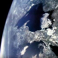 Rabid Toad Brigade / The Call