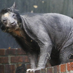 You Take My Breath Away