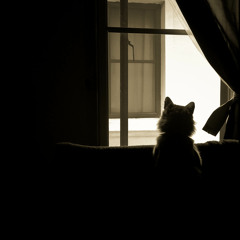 Vinyl Days 1993 - Piccadilly Tea Dance Bootleg (DJ Jim & DJ Keyshore)