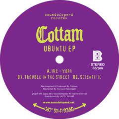Cottam - Ubuntu EP  ( Preview )