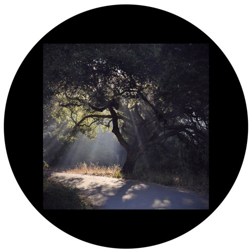 Tanov - Flane - Max Cooper Remix (preview clip)