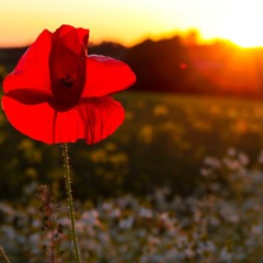 Teknikal Glitch - Timespill