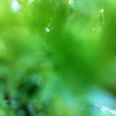 Fictive Music (preview)