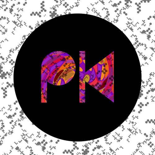 Phil Kieran and White Noise Sound - Never Believed (Noir Remix) - PK Recordings