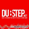 Skyfall by Adele (Clark Kent & Oscar Daniel Remix) (Wub Machine Electro House Remix)
