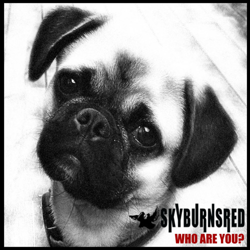 Toru by SkyBurnsRed | Sky Burns Red | Free Listening on SoundCloud