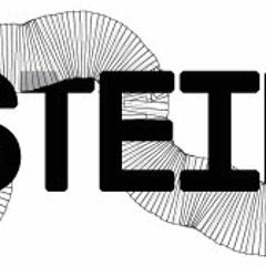 Electronic Frequencies ft. MuseRuole - A Female Focus  - july 17th & july 29th 2013