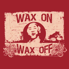 Wax On Wax Off