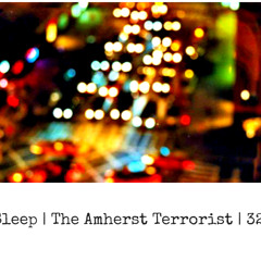 Team Sleep | The Amherst Terrorist