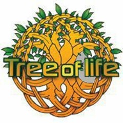 Mote-"Dust Particle"-Best Live Act contest-Tree of Life 2013!