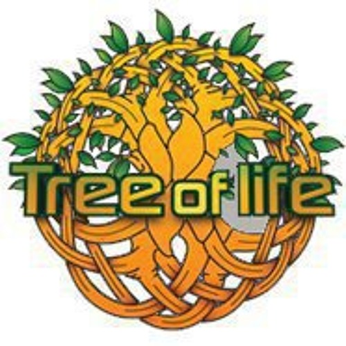 Mote-"Dust Particle"-Best Live Act contest-Tree of Life 2013!