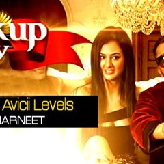 Breakup Party ft Levels (Bouncy Mix) - Dj Sunny & Dj Harneet