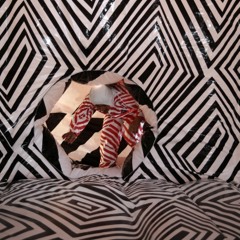 Ripen - Tipota na xasw