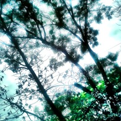 Vospi - Plutay