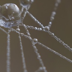 Matisyahu Live Like A Warrior (Tobias Köppel Remix)