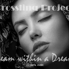 Dream within a Dream (crosslinq project - rörinx edit)