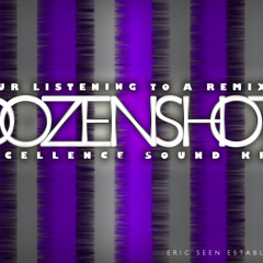 DozenShots - Reggae-HipHop-House Mashup