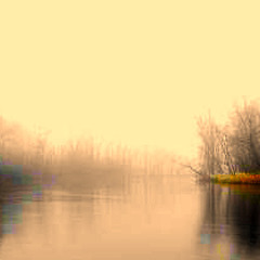Meander