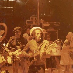 02. Bob Marley & The Wailers - The Heathen