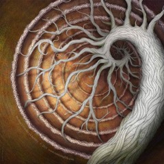 psychedelic progressive set 01(yoassas set)