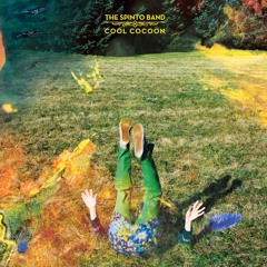The Spinto Band - "Shake It Off"