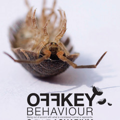 OffKey Behaviour Promo Mix