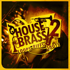 DGS29 House Brass 2 - Sample Library - Exclusive at Loopmasters