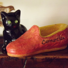 #HomewardBound Jeff Singer and Stevie Stone