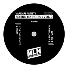 Kid Mark - Baby! I'm Loosin U! (Original Mix) // MLH