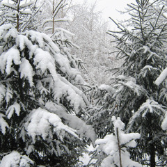 Fracture Design - A Winter's Tale
