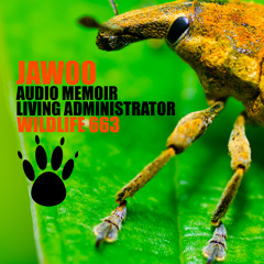 Jawoo - Living Administrator (Original Mix) [Wildlife / Black Hole Recordings]
