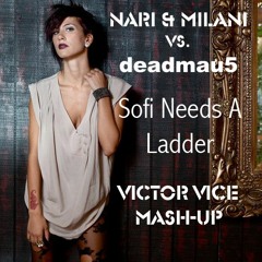 Nari & Milani vs. Deadmau5 - Sofi Needs a Ladder ( Victor Vice Mash-UP)