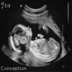 Conception