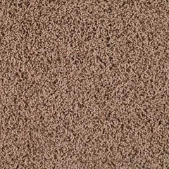 Brown Carpet pt. 2