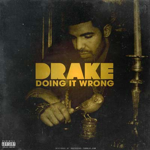 drake doing it wrong covers drake doing it wrong covers