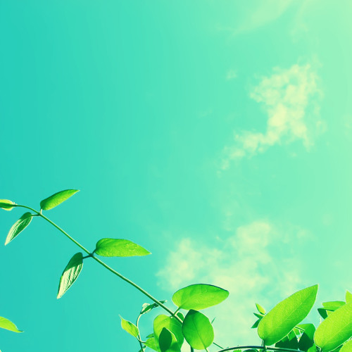 CD Am Nhac Kich Thich Tri Tue - Cam Bang Cam Xuc - Demo