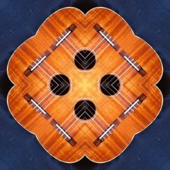 "Wander Blind" a song by Paul Myers © 2012