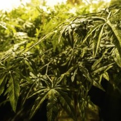 Karma ft. Blétone & Kaiisy- L.A. Bonne (One Free ..One Block)