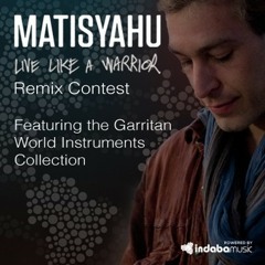 Live Like A Warrior (remix)