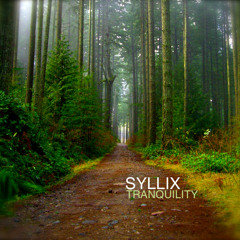 Syllix - When the Skies Darken