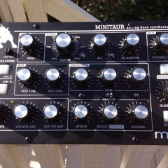 My Minitaur