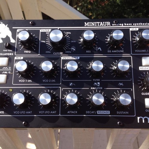 My Minitaur