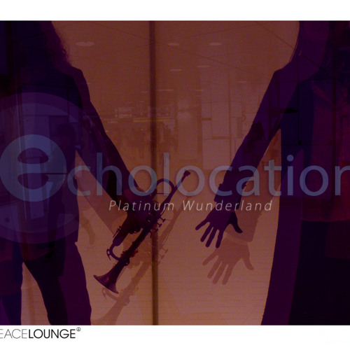 Reflection feat. Catherine  Fleming