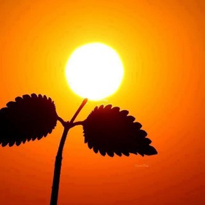ဂ်ီလတ္-တေန႔ေတာ့MP3
