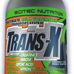 Basstard Groove - Trans X Vs Do you Believe  Basstard Remix - Free Download - Mp3 320 KBps