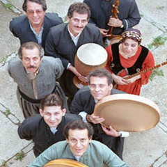 زرد ملیجه