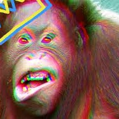 Xusho & teto- jungle dub manifest round1