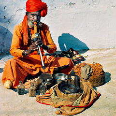 Revenge of the Snake Charmer
